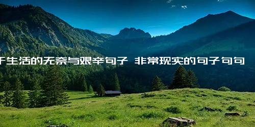 关于生活的无奈与艰辛句子 非常现实的句子句句扎心